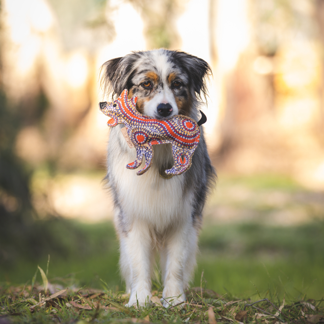 Desert Dog Chew Toy - Trevor