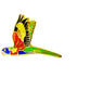 Rainbow Lorikeet Pin