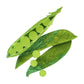 In Praise of Veg Collection