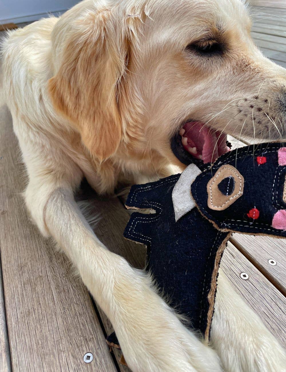 Outback Felt Toy - Tassie Devil