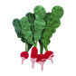 In Praise of Veg Collection
