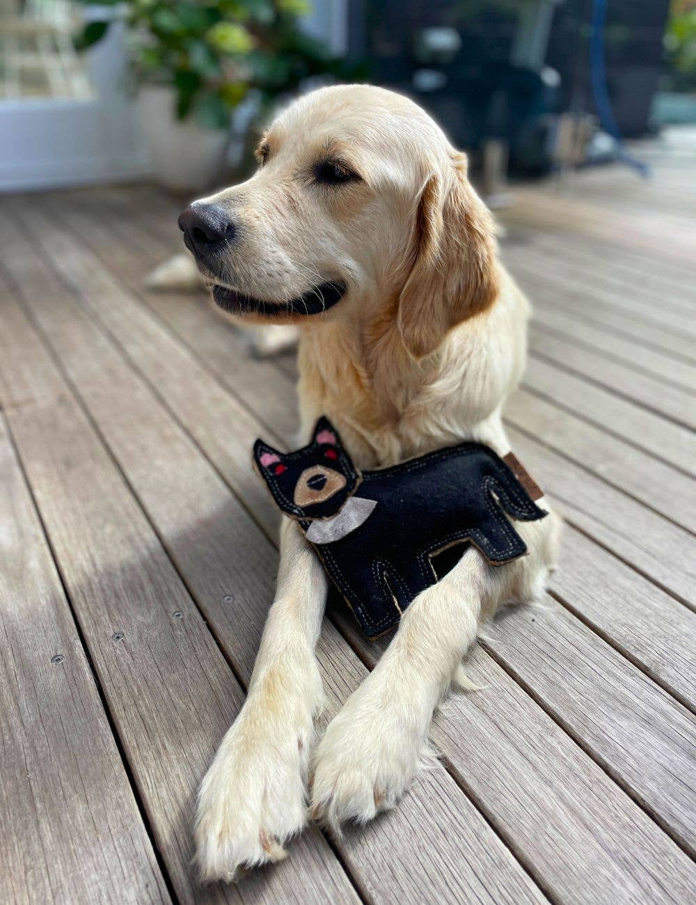 Outback Felt Toy - Tassie Devil