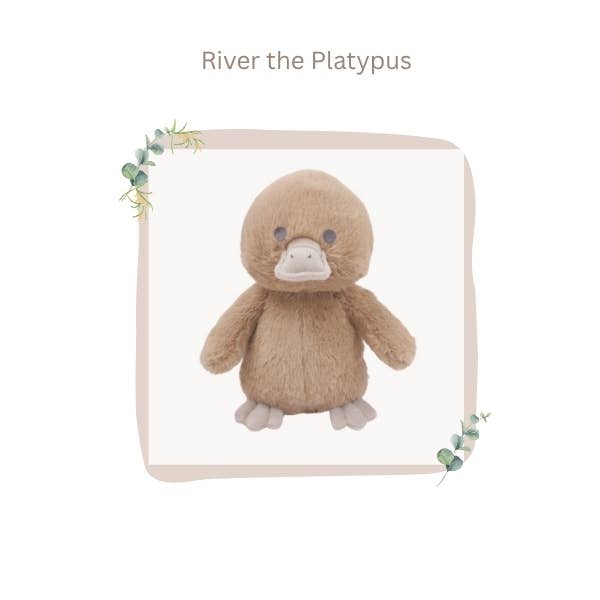 River the Platypus