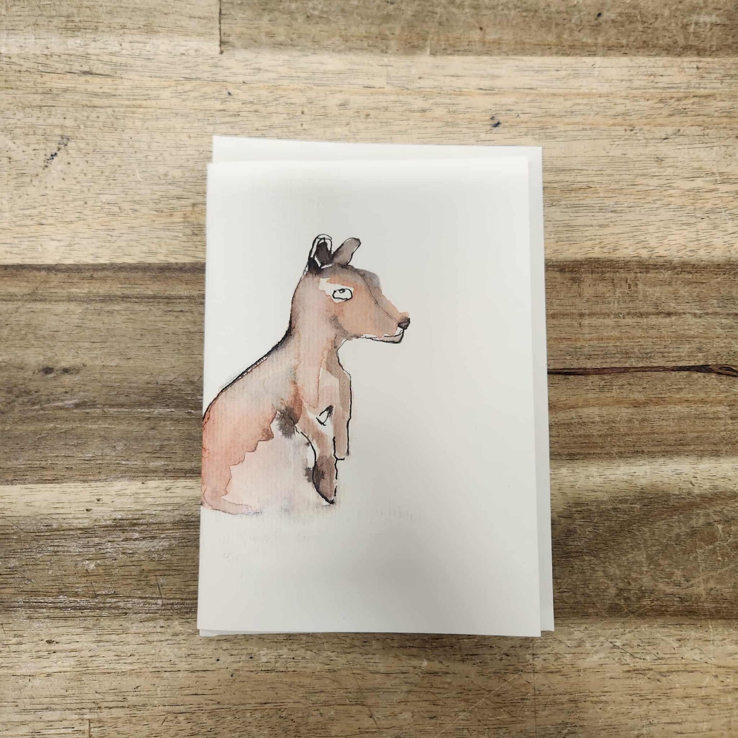 Greeting Card - Kangaroo