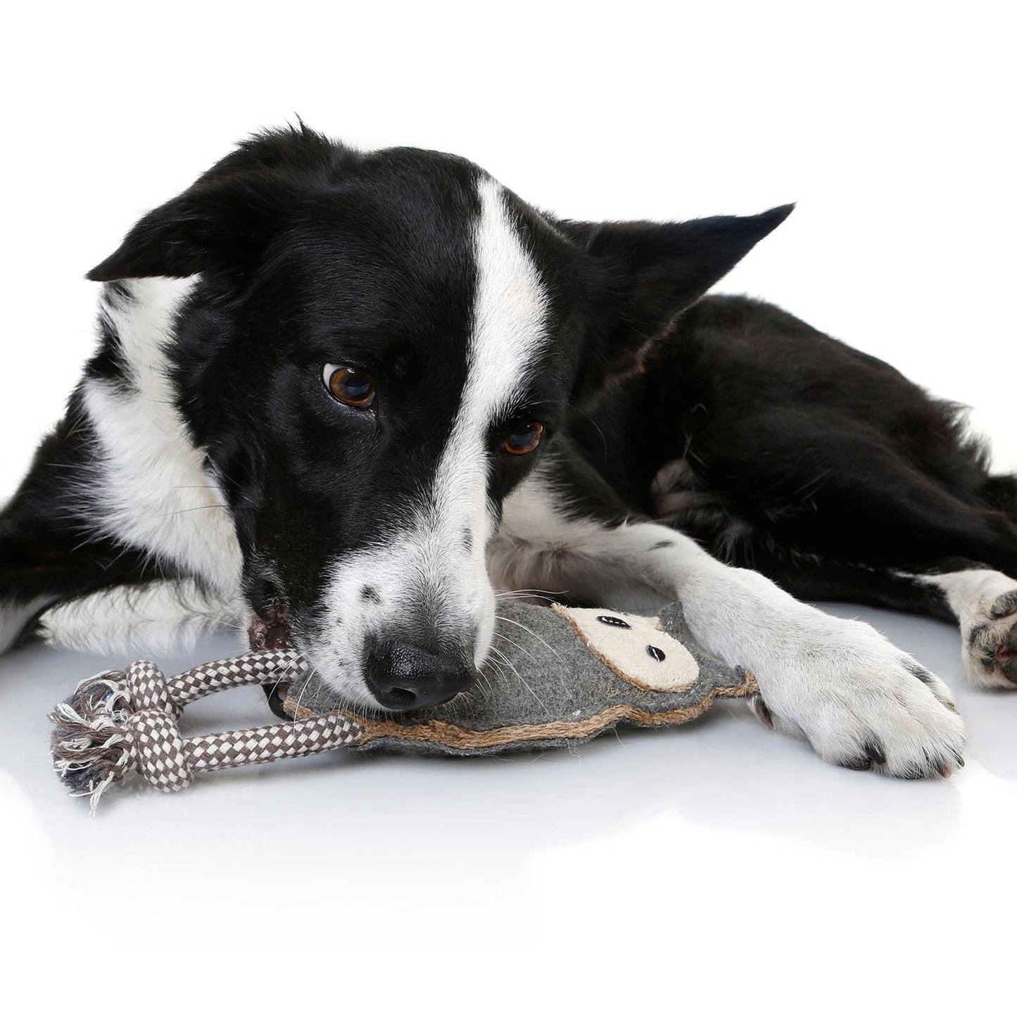 Country Tails Owl Chew Toy