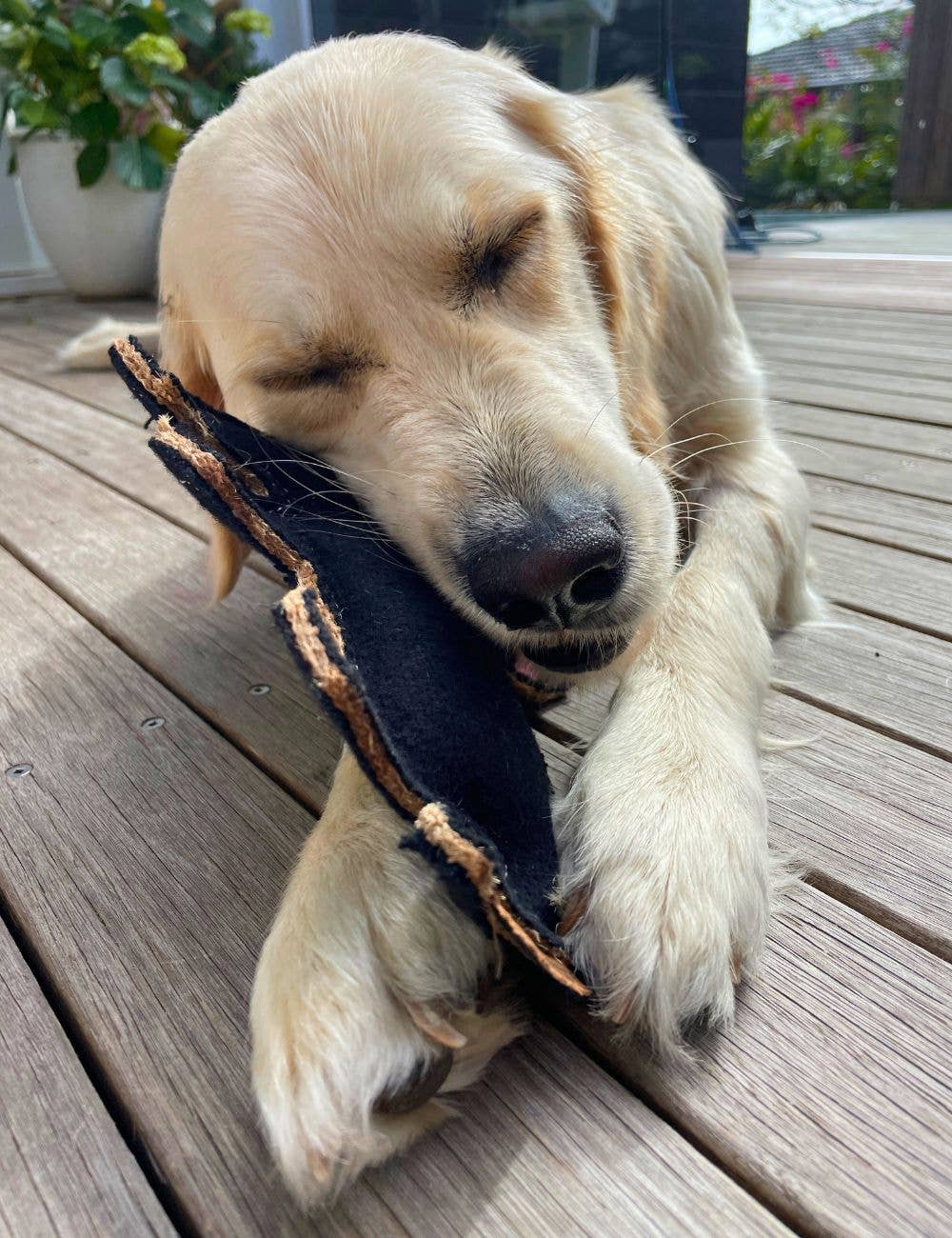 Outback Felt Toy - Tassie Devil