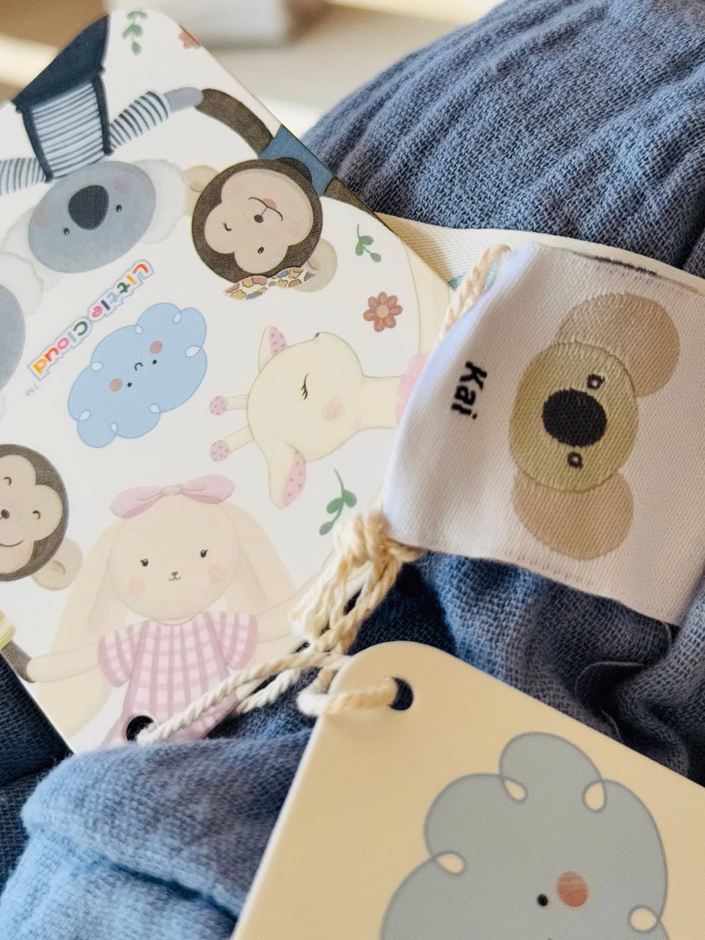 Plush Toy Boy Koala - Kai