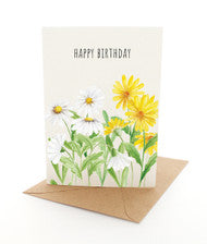 Greeting Card Daisy Garden