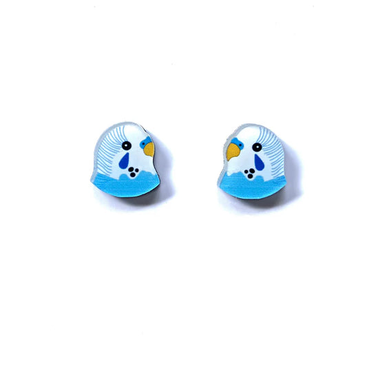 Blue Budgie Studs