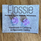 *Earrings Purple Flower Studs