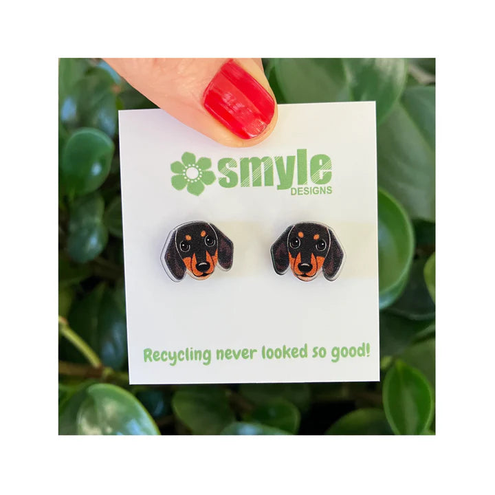Dachshund Studs