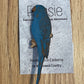 *Brooch Hand Painted Budgie