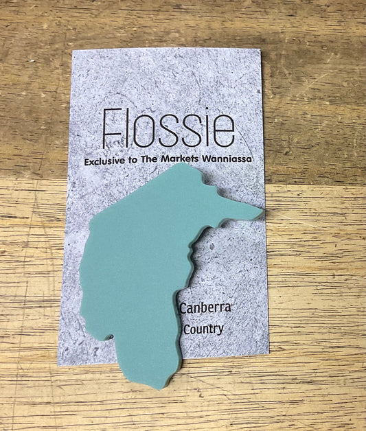 Our Territory Brooch Sage