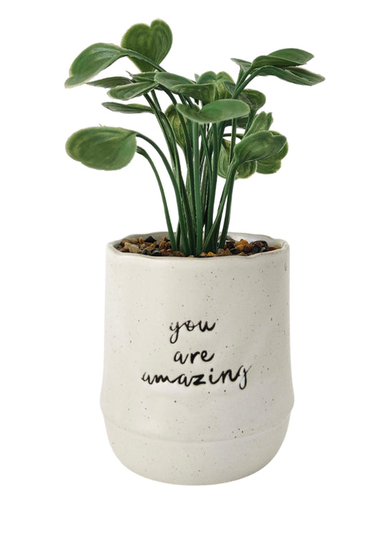 Planter You are Amazing
