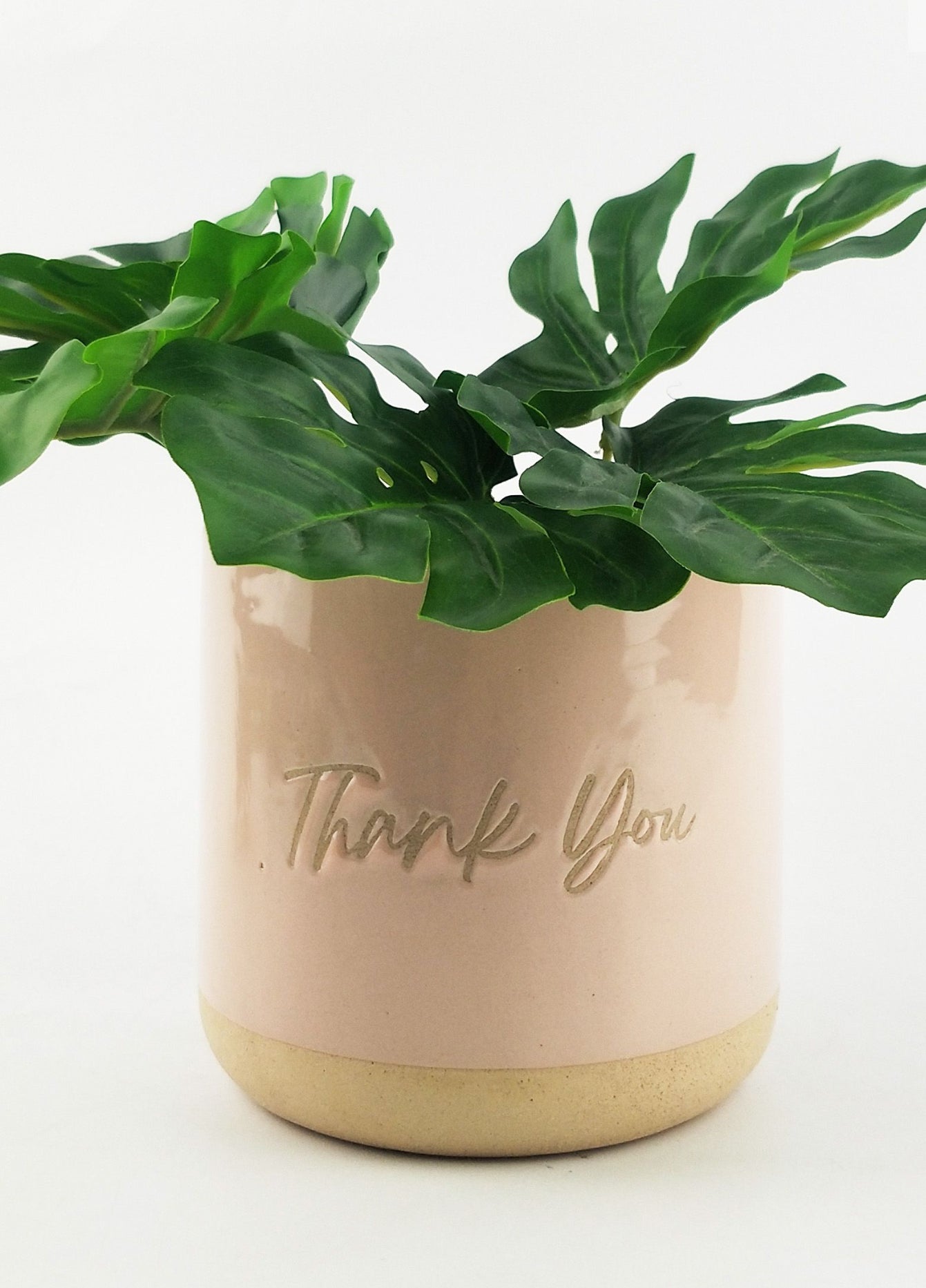 Planter Thank You