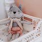 Maisie Raccoon