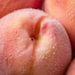 Fluffe Fairy Floss Peach