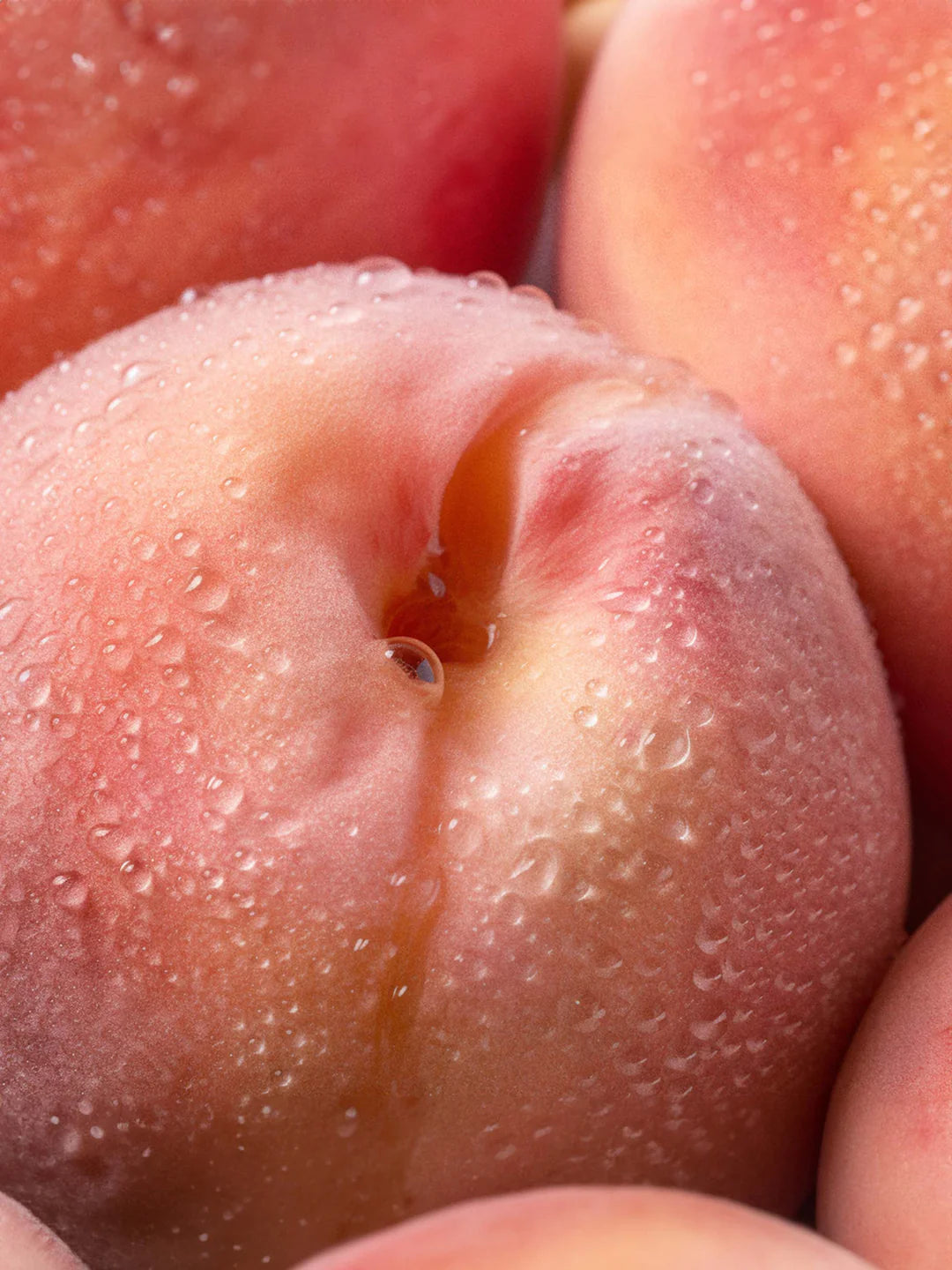 Fluffe Fairy Floss Peach