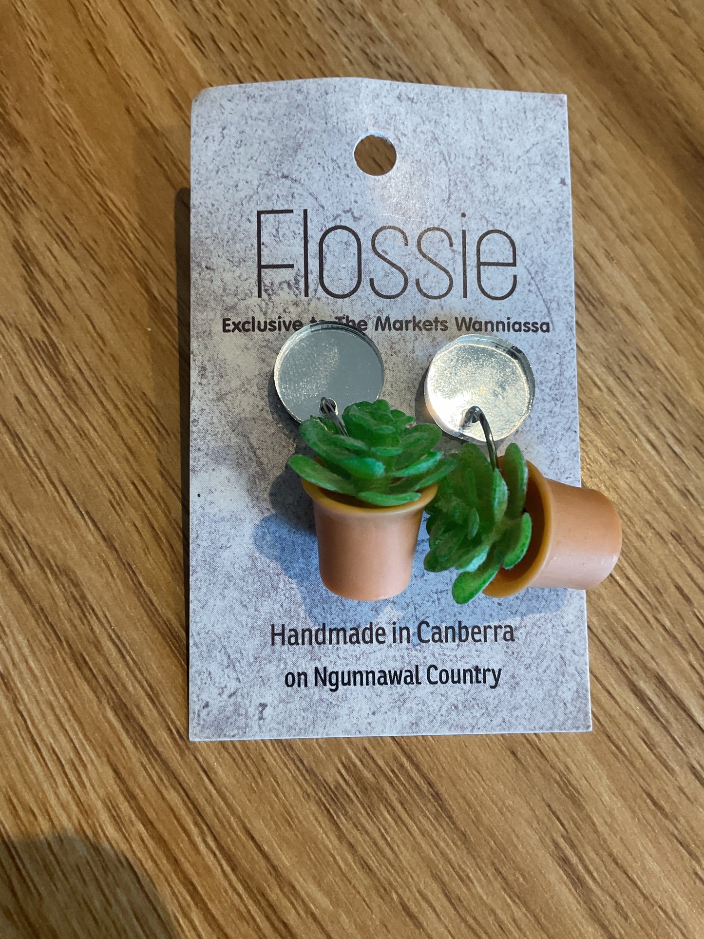 *Earrings Potted Plant Dangles