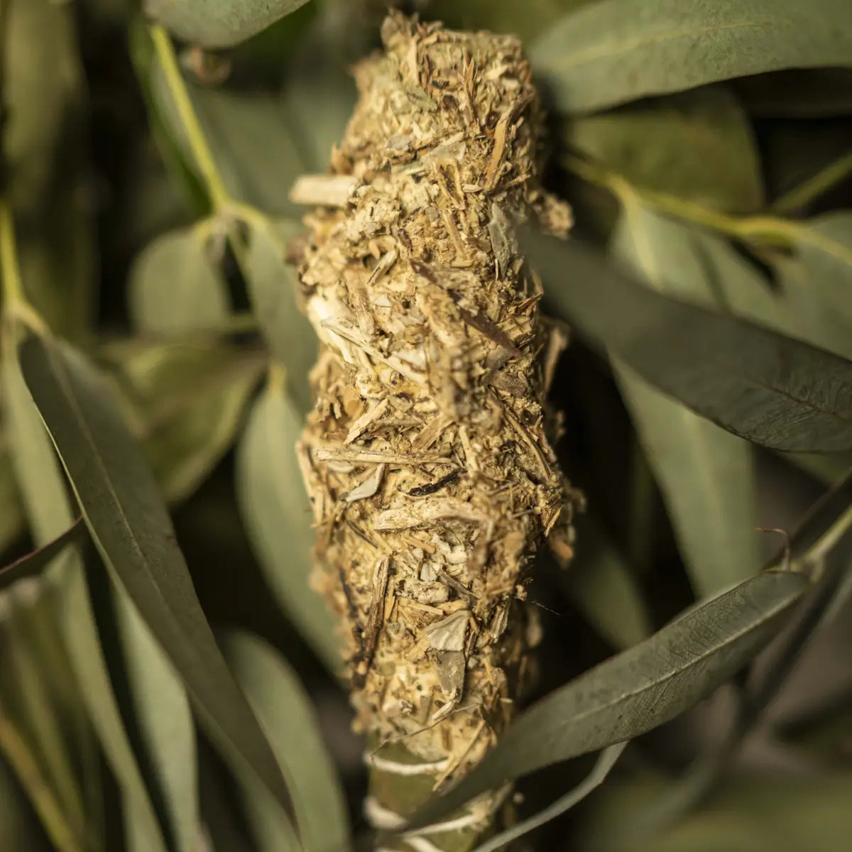 Smudge Stick - Clean Energy