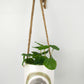 Bloom Where You are Planted Hanging Planter
