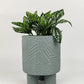 Enola Medium Planter with Legs