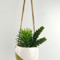 Avery Dot Round Hanging Planter Olive