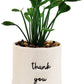 Artificial Plant - Thank You