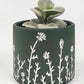 Planter Riya Green