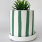 Julia Stripe Planter - Sage