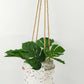 Hanging Planter Terrazzo