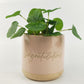 Planter Congratulations