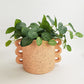 Dayze Planter Blush Medium 16.5cm