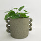 Dayze Planter Sage Small 13cm