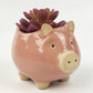 Pig Planter Pink Small