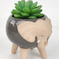 Elephant Planter with Legs