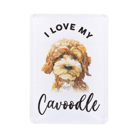 Pet Lovers Magnet I love My Cavoodle