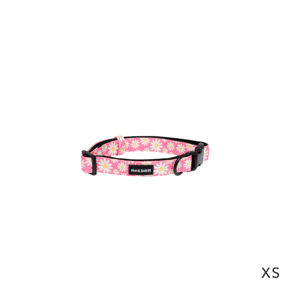 FB Collar Pink Daisies Extra Small