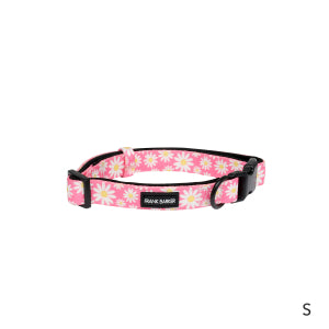 FB Collar Pink Daisies Small