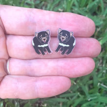 *Tasmanian Devil Studs