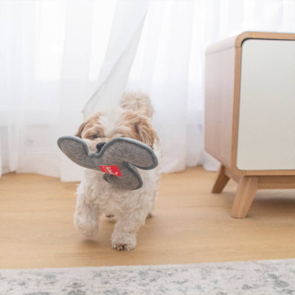 Dog Toy - Louie Living Frisbee