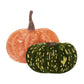 In Praise of Veg Collection