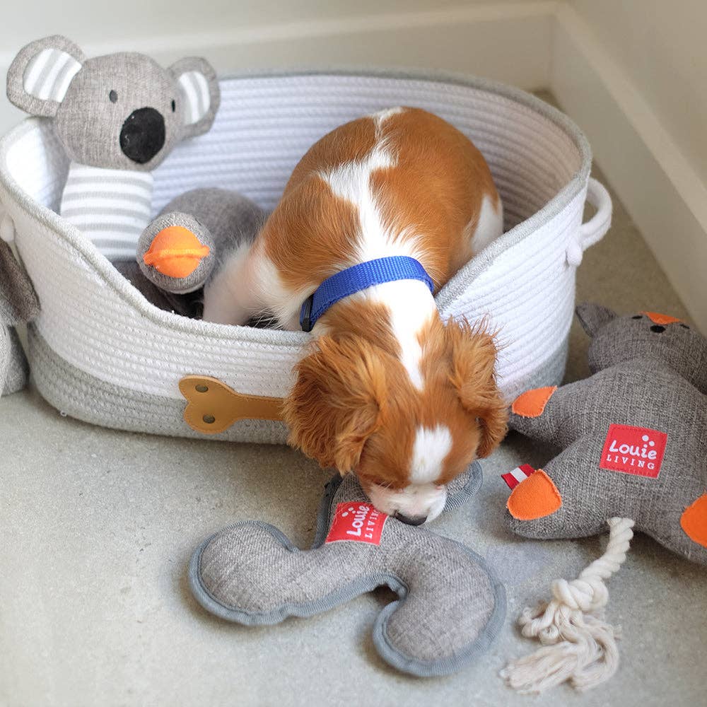 Dog Toy - Louie Living Frisbee