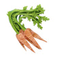 In Praise of Veg Collection