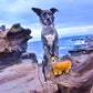 Outback Felt Toy - Darren The Dingo