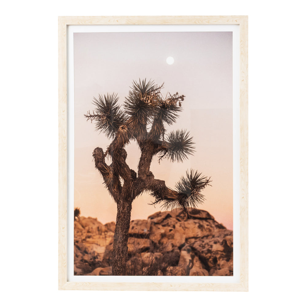 Desert Dunes Framed Glass Print