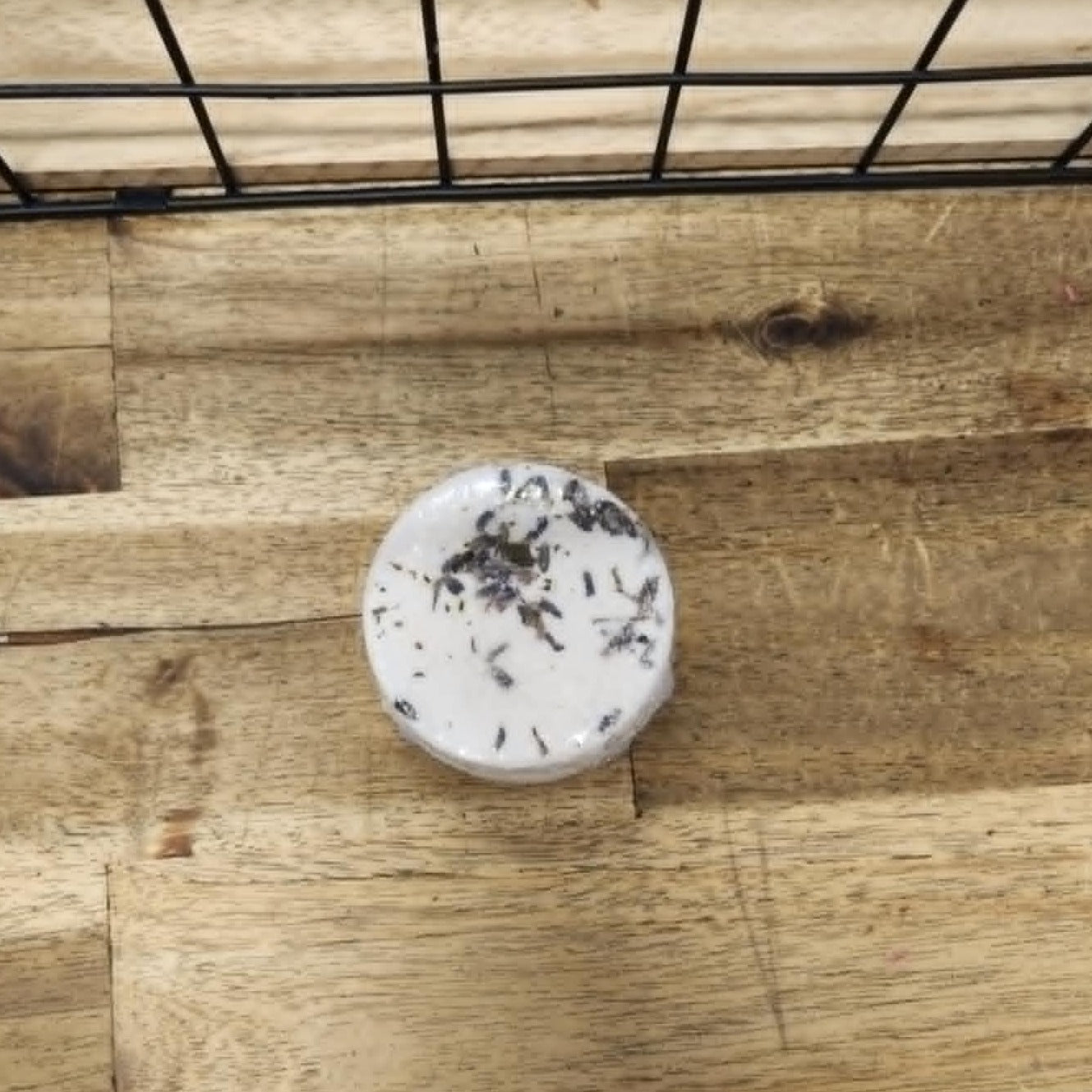 Shower Steamers - Sleep