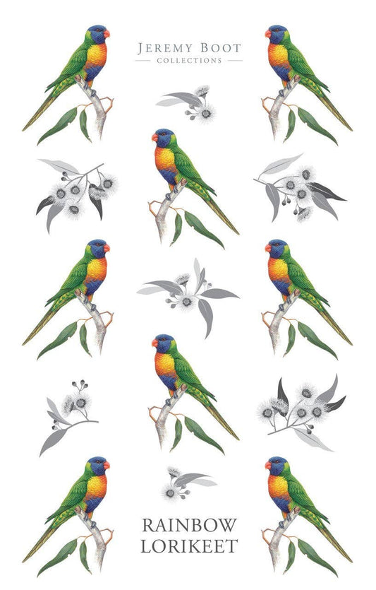 Tea Towel - Rainbow Lorikeet