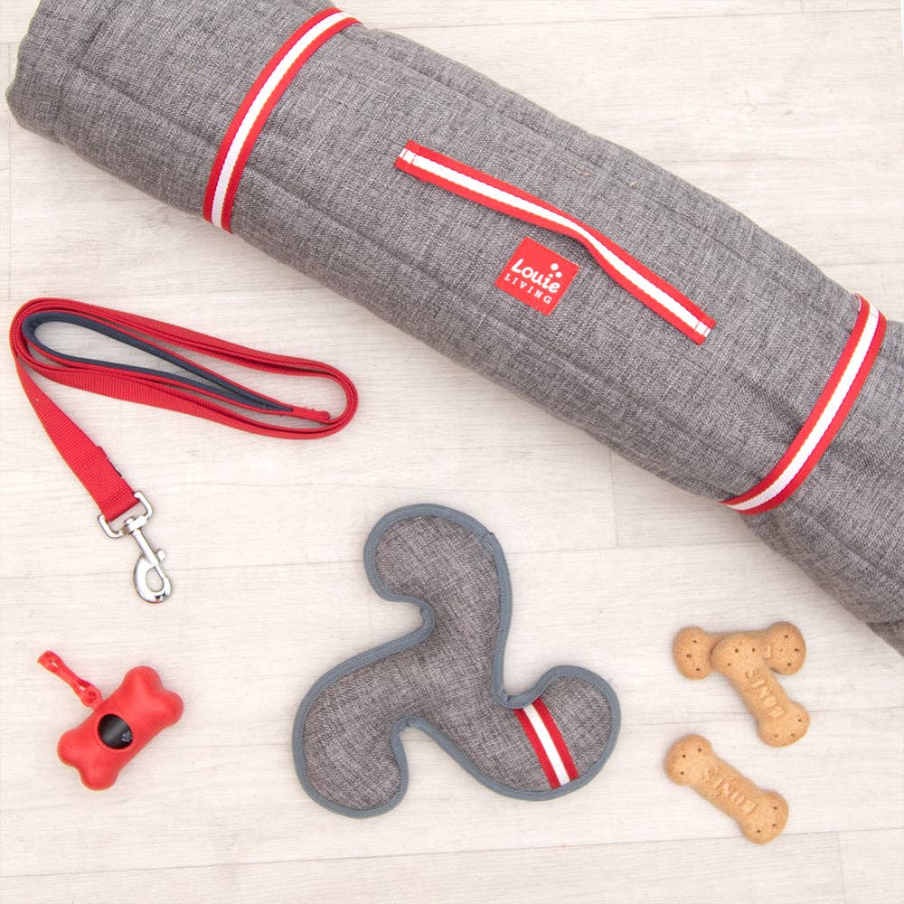 Dog Toy - Louie Living Frisbee