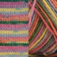 Harlequin Sock Yarn